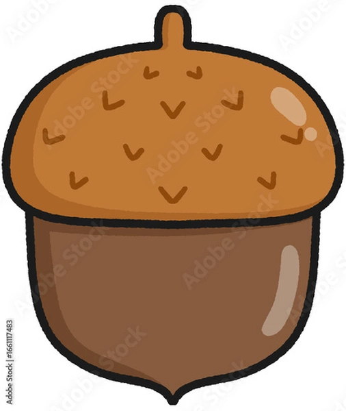 Fototapeta 도토리