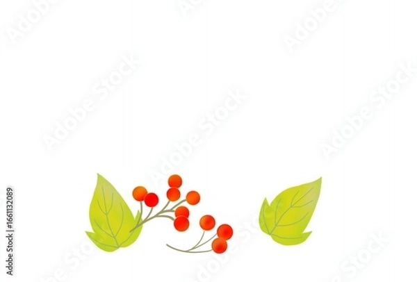 Fototapeta 秋の植物のポストカード