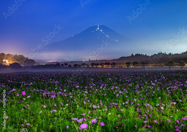 Obraz 花の都公園から富士山とコスモス