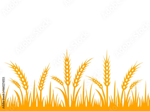 Fototapeta Agriculture wheat vector Illustration design template - Vector