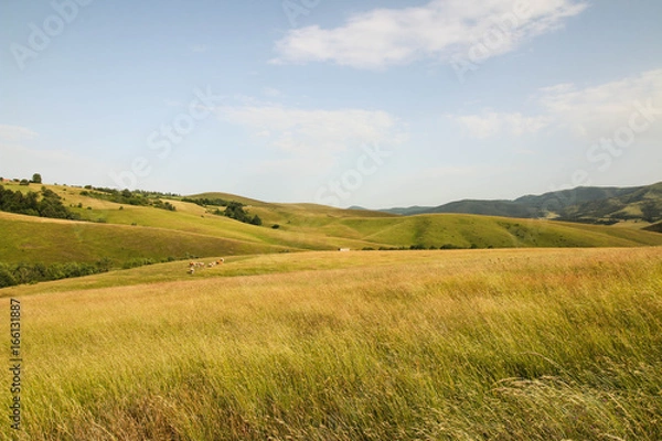 Obraz Turystyka w Zlatiborze