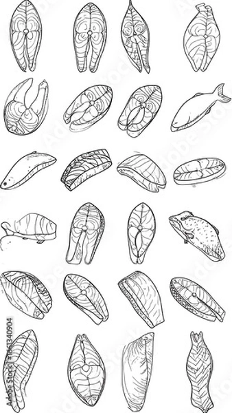Fototapeta Fish Fillet Line Drawings, Various Angles