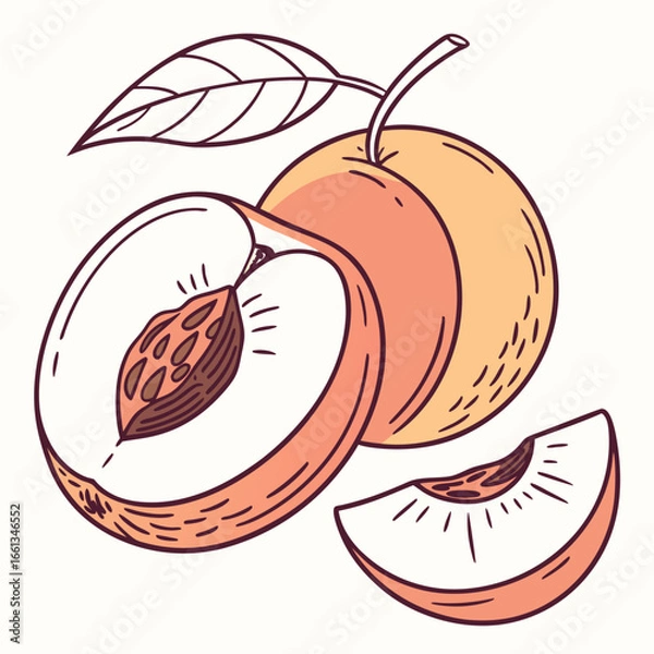 Fototapeta Peach fruit illustration with cut slice and leaf, featuring hand drawn vector style for healthy eating and summer themes