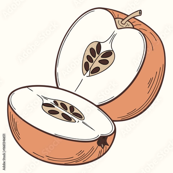 Fototapeta Sliced apple illustration featuring seeds and a stem, showcasing a close-up view of fruit sections, perfect for healthy eating content