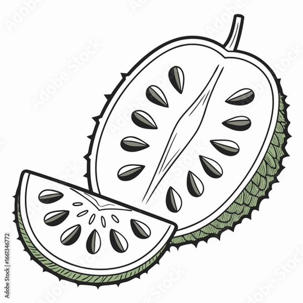 Fototapeta Soursop fruit illustration featuring a halved soursop and a soursop slice with seeds, showcasing its unique spiky texture and tropical appeal