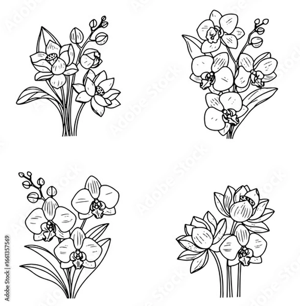 Fototapeta Four different outlined drawings of lotus and orchid flowers add botanical beauty and elegance to your design projects.