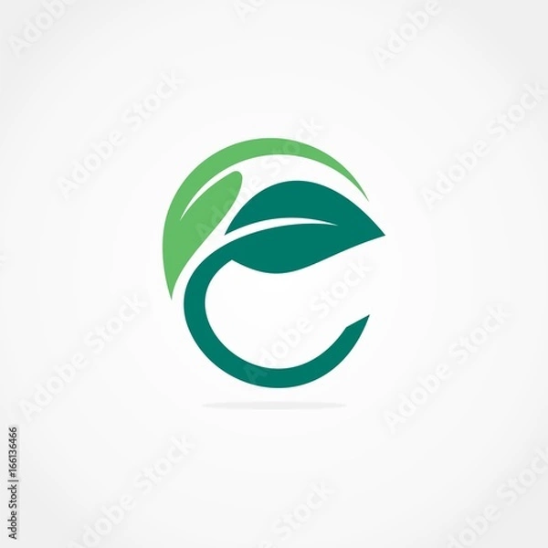 Obraz e abstract green leaf circle logo