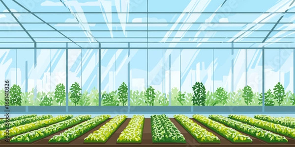 Fototapeta Modern glass greenhouse interior with neat rows of lush green seedlings growing in an urban farm.
