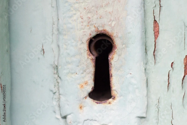 Fototapeta old door