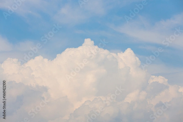 Fototapeta 夕方の入道雲