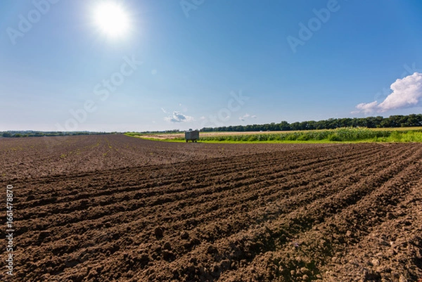 Obraz a plowed field for sowing crops