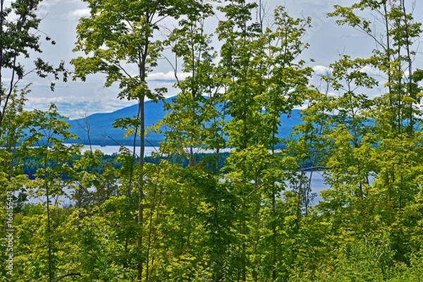 Obraz The lake before the mountain 