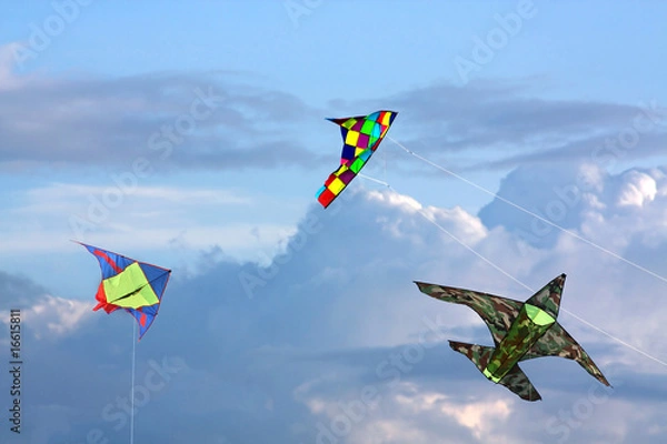 Obraz Three kites in sky