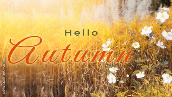 Fototapeta Hello autumn background with golden grass, white flowers, seasonal nature, fall landscape, floral design for greeting card, banner, seasonal sale, autumn vibes with warm tones and text overlay