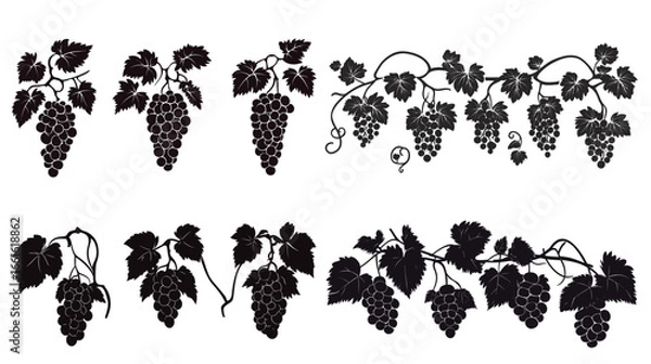 Fototapeta Grape Silhouette on White Background – Minimalist Vector Graphic