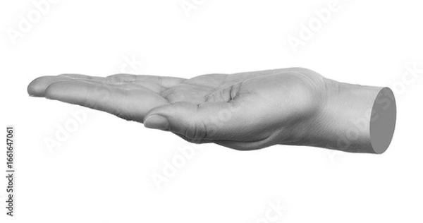 Fototapeta Hand gesture like a holding something isolated on transparent background. Contemporary art design