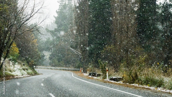 Obraz Snow falling on road