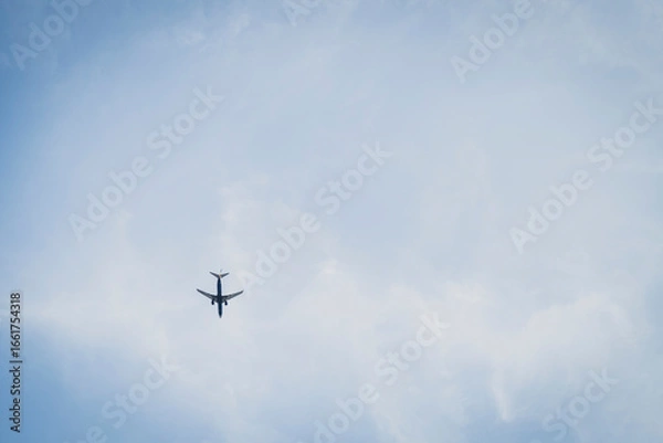 Fototapeta Airplane in the sky