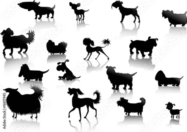 Obraz dogs silhouettes in vector