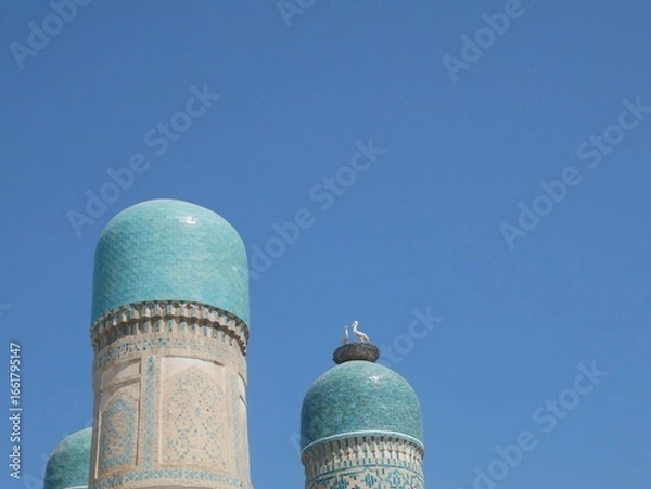 Obraz チョルミナルのコウノトリのオブジェ（ウズベキスタン：ブハラ）