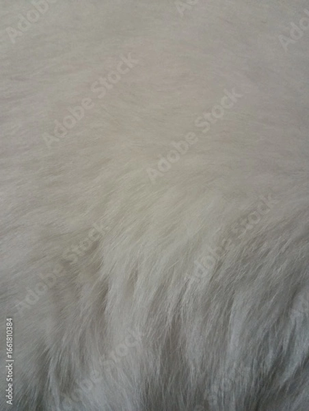 Fototapeta Close-up of a clean, new and fluffy faux fur carpet surface. White fur.