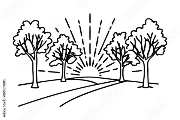 Fototapeta  Sunlight filters through road trees. line art flat vector illustration