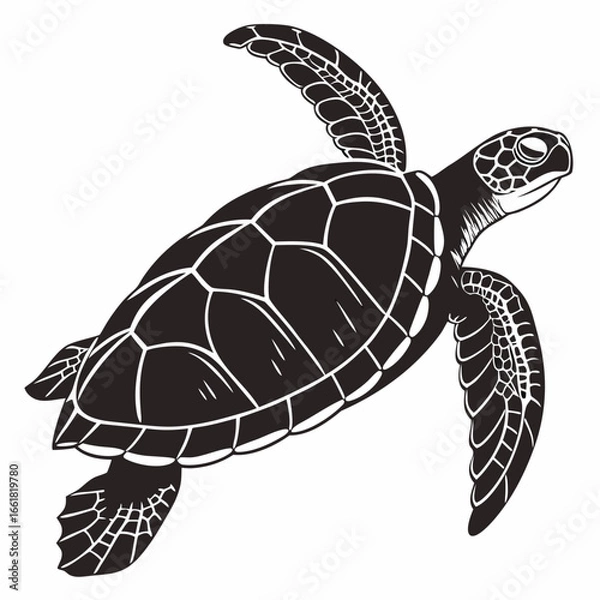 Fototapeta turtle vector illustration