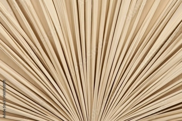 Fototapeta Abstract close-up of light brown wooden sticks in fan-like arrangement, Close up dried fan shaped
