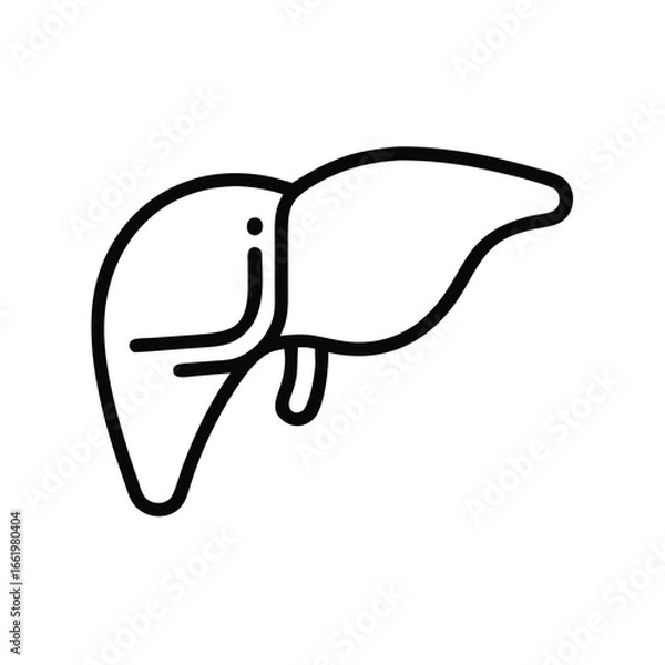 Obraz Human liver vector art design.