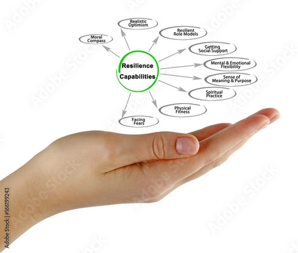 Fototapeta Resilience Capabilities