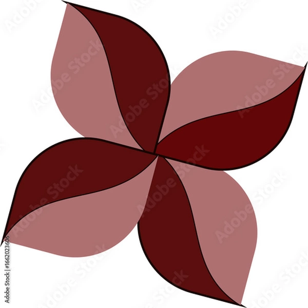 Fototapeta vector illustration of a red rose