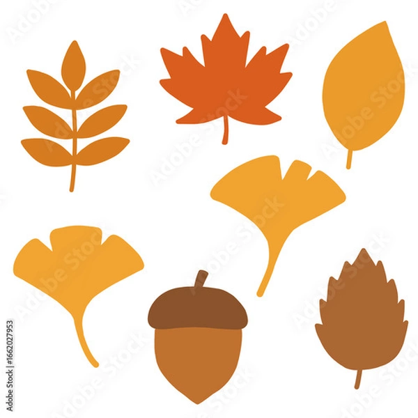 Obraz 가을 나뭇잎과 낙엽