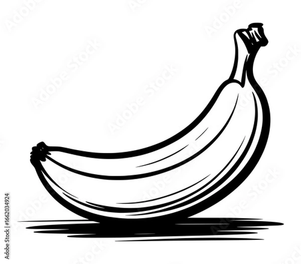 Fototapeta Hand drawn banana sketch illustration in black and white vector style