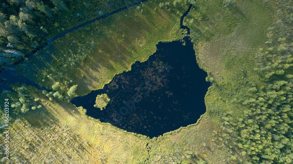 Fototapeta Aerial view of the lake in the forest