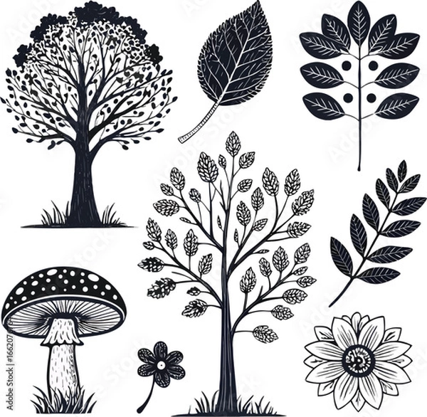 Fototapeta Black silhouette nature elements set, 8 unique designs in one bundle, solid black fill, realistic tree, leaf, flower, mushroom shapes, vector-friendly, isolated on white background, no text, han