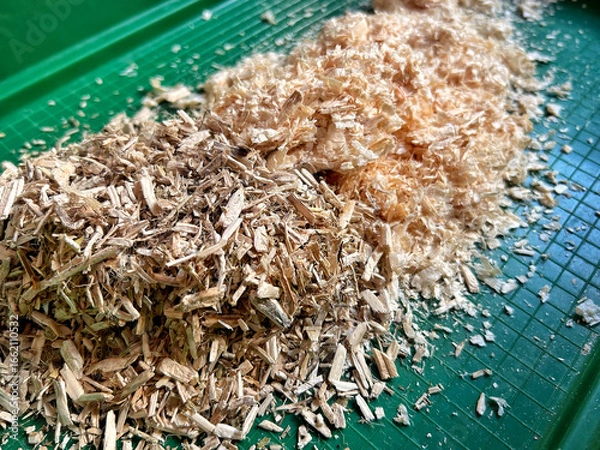 Fototapeta Different types of rodent litter placed inside a green pet tray