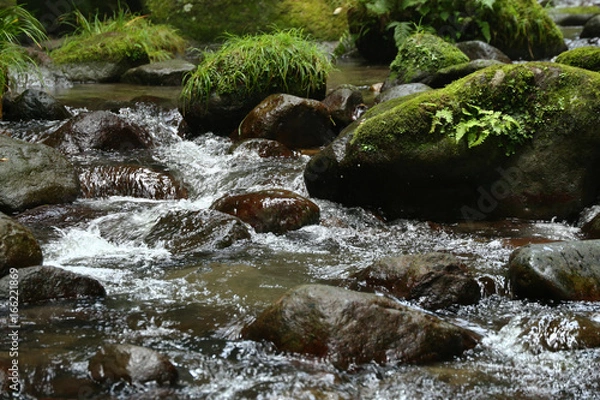 Obraz 由布川峡谷の渓流,苔の生えた石、日本