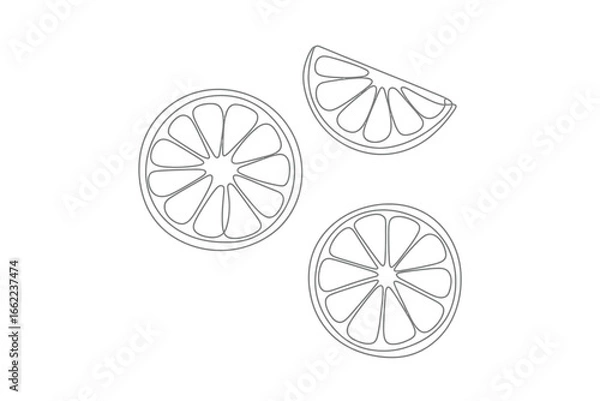 Fototapeta Hand drawn outline slices of citrus fruit on white background