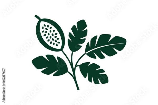 Fototapeta Stylized illustration of a papaya fruit on a branch with leaves