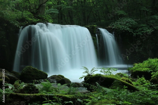 Fototapeta 銚子大滝