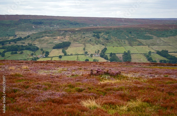 Obraz North York Moors