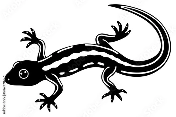 Fototapeta Lizard, reptile, or gecko isolated on a white background