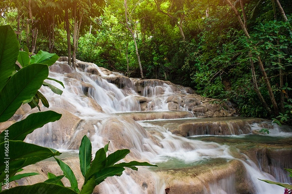Obraz Jamaica Water Fall
