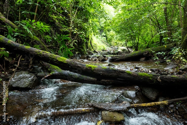 Obraz Cuautitlán de García Barragán