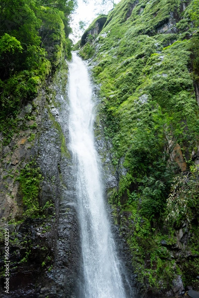 Obraz Cuautitlán de García Barragán