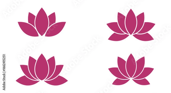 Fototapeta Four pink lotus flowers in different stages of bloom on white background