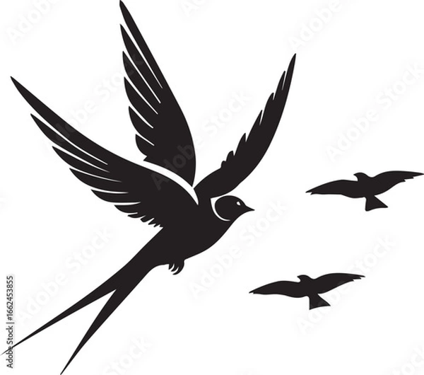 Fototapeta Flying Swallow Bird With Two Companions