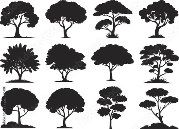Fototapeta Collection of twelve black tree silhouette vector illustrations, diverse canopy and trunk shapes, isolated botanical elements for landscape design, nature art references