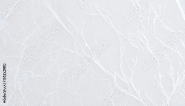 Obraz White marble texture