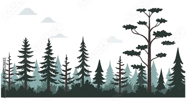 Fototapeta A serene panoramic landscape of a dense evergreen forest with pine and fir trees. Minimalist vector illustration of a woodland wilderness